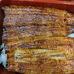 うなぎ 浜名 - うな重（中）