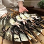 徳ㇵ本也 - 清滝川の鮎