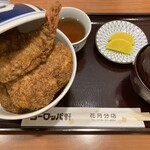 ヨーロッパ軒 - 料理写真:まぁまぁなボリューム
