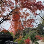 東京 芝 とうふ屋うかい - 