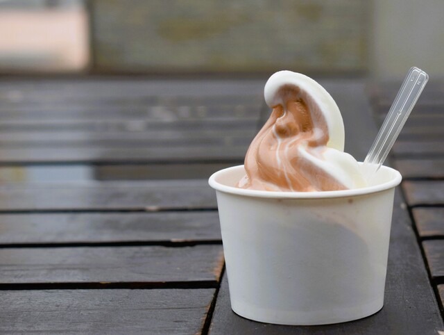 ロイズ（ROYCE'） - 池月（チョコレート）の写真