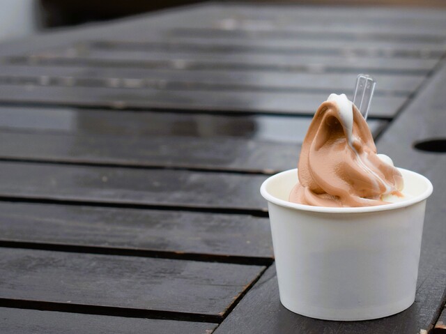 ロイズ（ROYCE'） - 池月（チョコレート）