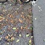 あべくん珈琲 - 