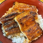 炭焼うなぎ 加茂 - 