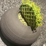 アニエルドール - 