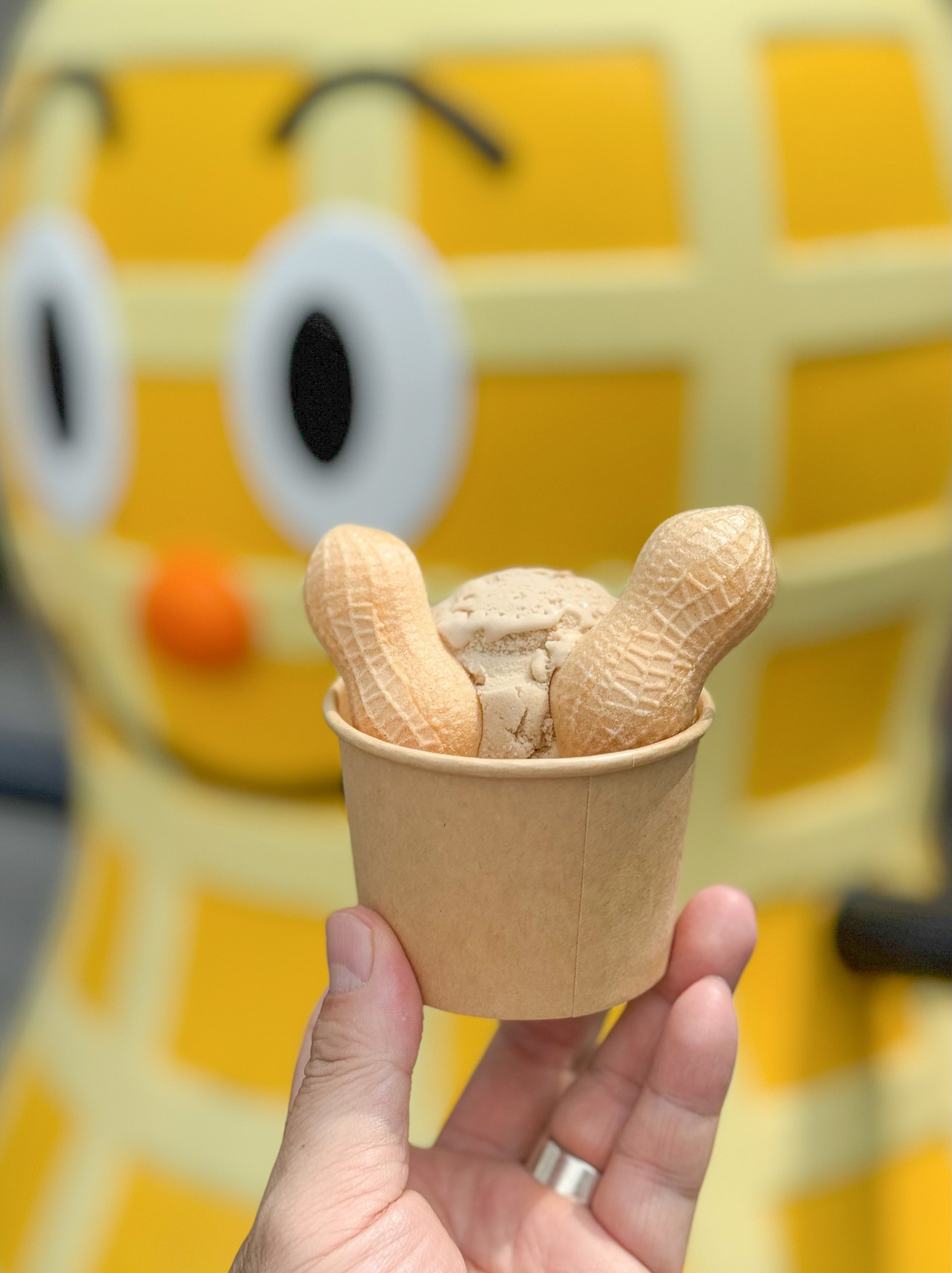 写真 : 中西ピーナッツ - 櫟本/洋菓子 | 食べログ