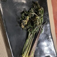 飛騨季節料理 肴 - 
