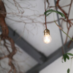 ミネロワ - ２０２５年８月再訪：内観☆