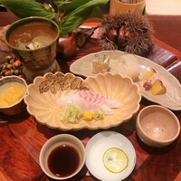 弧柳 - 