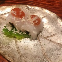 弧柳 - 