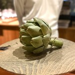 トムクリオーザ - 