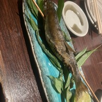 魚心 新宿総本店 - 