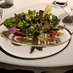 レフェルヴェソンス - 