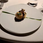 レフェルヴェソンス - 