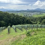 レストラン・サン・クゼール - 