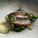 アルヴァ(アマン東京) - 