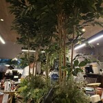 和韓料理 プルコギ専門店 じゅろく - 