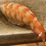 鮨 かの - 車海老