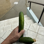 カフェ すろうらいふ - 自家栽培、取れ過ぎたとの事で帰りに頂きました。(*^^*)