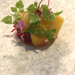 COCCHI - ビーツ、ラズベリー、ヨーグルト、レモンバジル