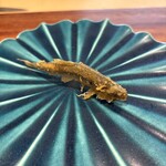 旬彩天 つちや - 