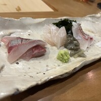 月の木 - 