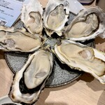 かきのおきて - 