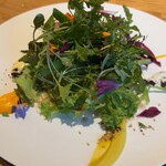 アグリスケープ - 