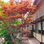 かんだやぶそば - 