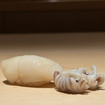 鮨 一幸 - シンイカ