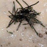 Shinshu Juuwari Soba Ten