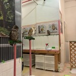フクロウのみせ - 