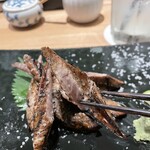 土佐みょうじん - 