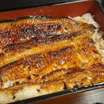 うなぎ赤垣 - うな重上