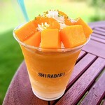 SHIRABARI MANGO FACTORY - 料理写真:めちゃくちゃ明るい日で…上手く写真が撮れなかった(^o^;)　せっかくのキラキラをごめんなさい。