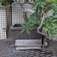 近松 - 