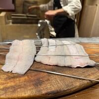 Gibier MIYAMA - 