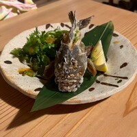 からすみ蕎麦 月と松 - 