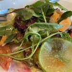 PIGNETO - ガーデンサラダ
