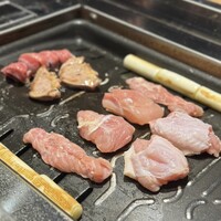とり料理 鳥者 - 