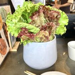 韓国居酒屋・経堂プッチョン - 