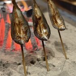 柳家 - おつまみ感覚