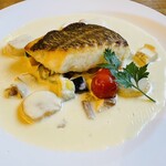 ジョイア・ミーア - 