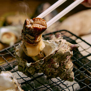 五感で楽しむ！活貝や鮮魚を炭火でベストに焼き上げる【浜焼き】