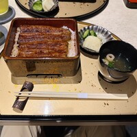 うなぎ 目白ぞろ芽 - 