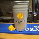 BEER STAND SORACHI  - 