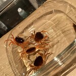 卯佐 - 焼酎に泳がせる沢蟹
