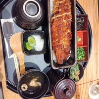 うなぎ四代目菊川 ミッドランドスクエア 名古屋本店 - 