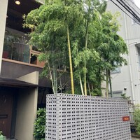 BISTRO CHINESE OSAWA - 竹林がある素敵な外観