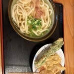 手打ちうどん つるや - 